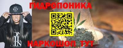 шишки Краснознаменск
