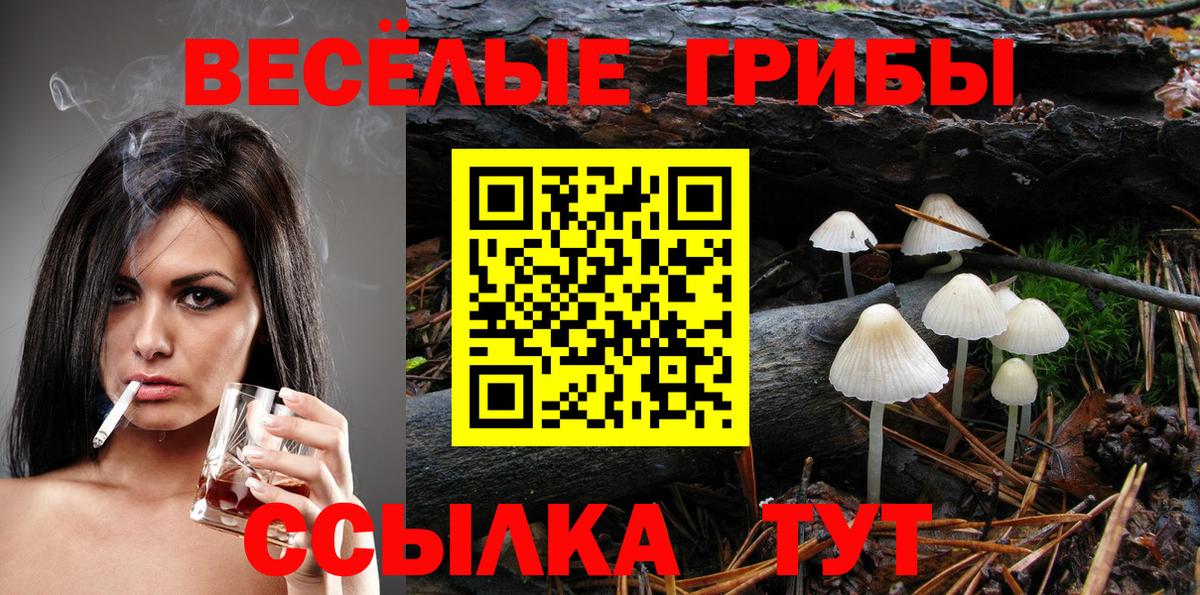 Кудымкар  Галлюциногенные грибы GOLDEN TEACHER  Вход с VPN 