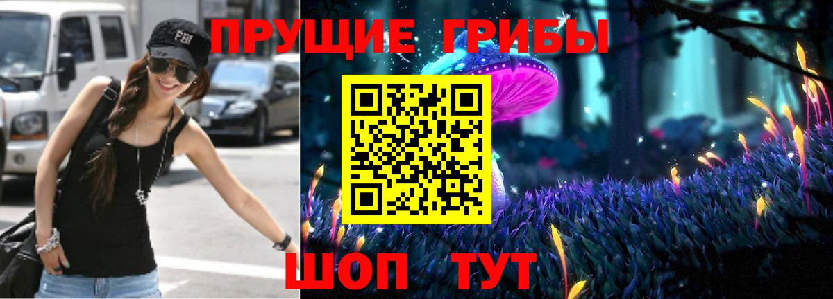 Галлюциногенные грибы Psilocybine cubensis Кудымкар
